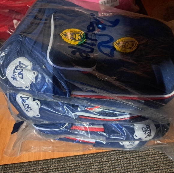 SALE!!! NEW with tags - DELUNE European backpacks for kids - spine protection - Picture 9 of 12